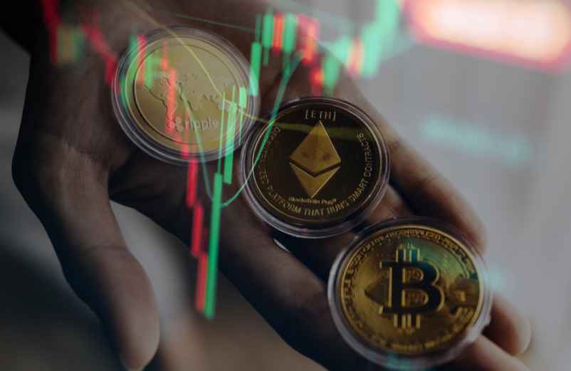 Les ténors du marché et leurs évolutions Findeur